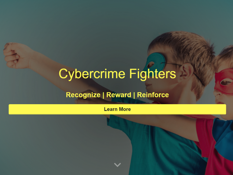 cybercrime fighters